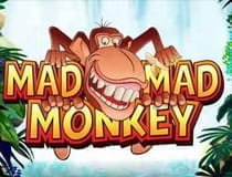 Zu sehen ist das Logo des Spiels Mad Mad Monkey.