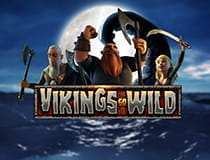 Das Bild zeigt den Spielautomaten Vikings Go Wild.