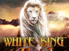 Der Playtech Spielautomat White King