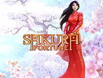 Der Slot Sakura Fortune.