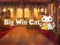 Big Win Cat