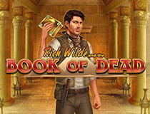 Das Bild zeigt den Slot Book of Dead.