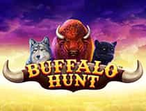 Das Bild zeigt den Slot Buffalo Hunt.