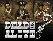 Der Slot Dead or Alive.