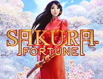 Das Bild zeigt den Slot Sakura Fortune.