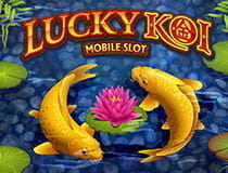Der Slot Lucky Koi.