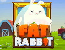 Fat Rabbit