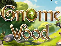 Gnome Wood Slot.