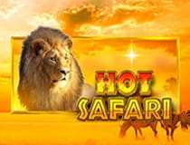 Hot Safari