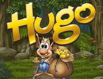Der Hugo Slot.