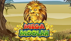 Der Mega Moolah Jackpot.