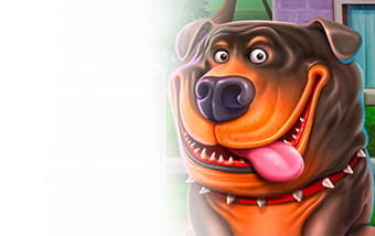 Die Zukunft von pragmatic play casino
