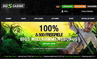 Die Webseite vom Big5Spielothek hat ein übersichtliches farbenfrohes Design.