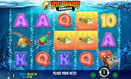 Das Automatenspiel Big Bass Bonanza bei BingBong.