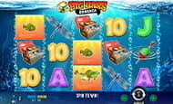 Der Slot Big Bass Bonanza im Stelario Spielothek.