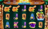 Der Aloha King Elvis! Slot im Wild Tornado Spielothek.