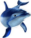 Der Delfin von Dolphin's Pearl.