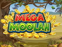 Der Automat Mega Moolah