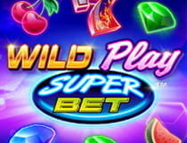 Das Bild zeigt den Slot Wild Play Superbet.
