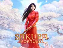 Sakura Fortune