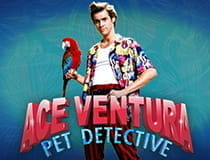 Das Bild zeigt den Slot Ace Ventura.