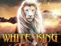 Das Bild zeigt den Slot White King.