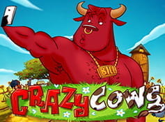 Der Crazy Cows Slot.