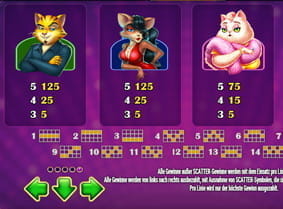 Die 15 Gewinnlinien und die jeweiligen Werte der Katzensymbole des Spielautomaten Cats and Cash von Play'n GO.