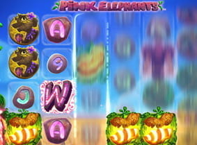 Im Pink Elephants Spielautomaten wurden 3 Scatter getroffen, so dass die Freispiel Funktion aktiviert wird.