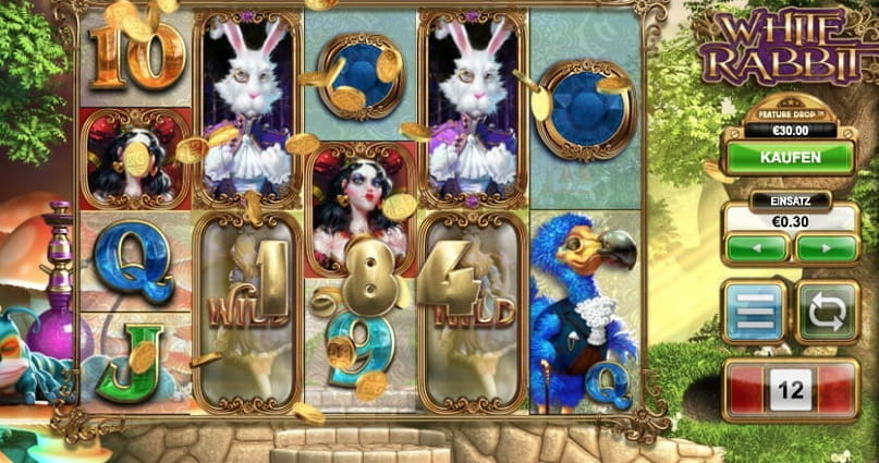 Zu sehen ist die Spielansicht des Automaten White Rabbit.
