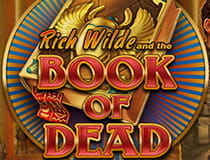 Das Bild zeigt den Slot Book of Dead.