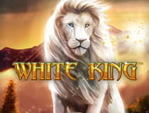 Der Spielautomat White King.