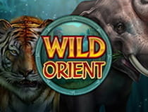 Wild Orient