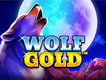 Der Online Slot Wolf Gold.