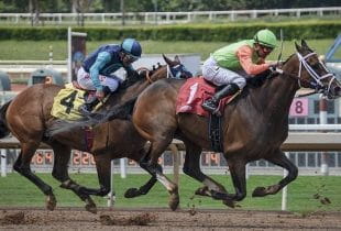 Mehrere Jockeys während eines Pferderennens.