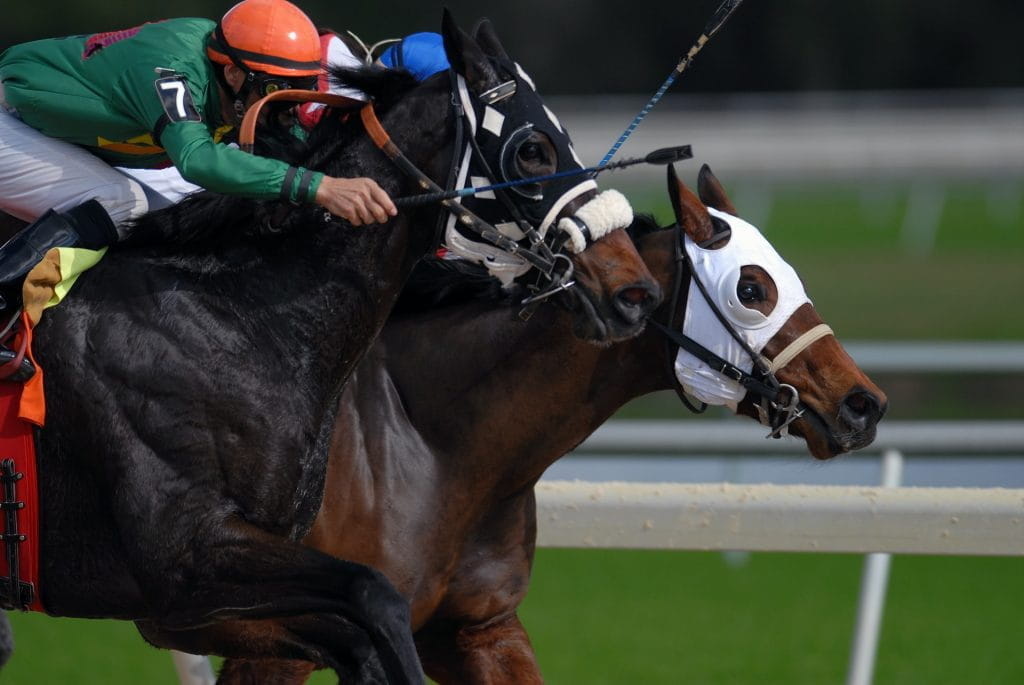 Ein Jockey während eines Pferderennens.