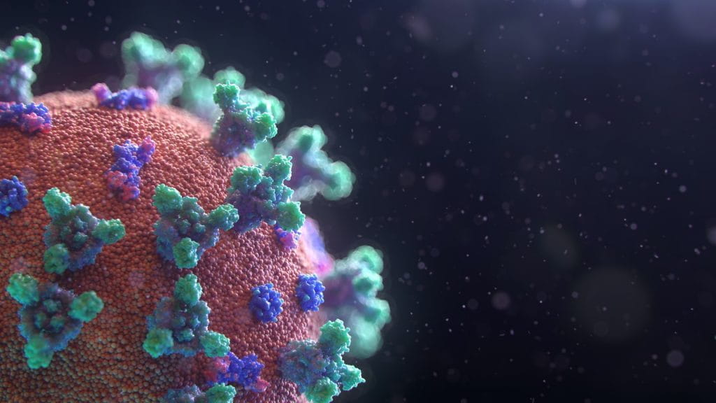 Illustrierter Coronavirus in einer Großaufnahme.