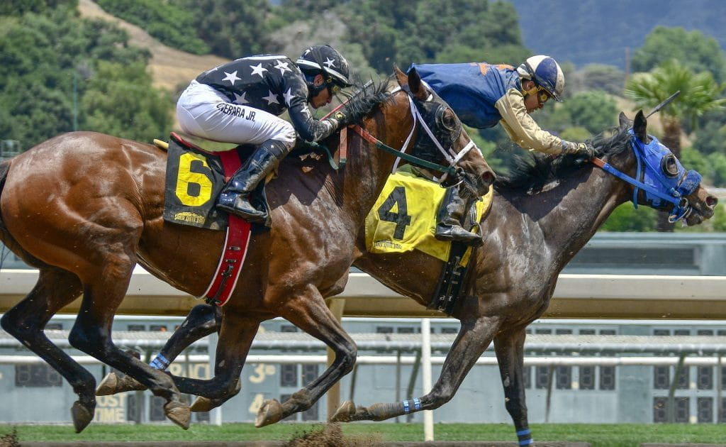 Kopf-an-Kopf-Rennen zwischen zwei Jockeys und ihren Pferden.