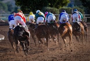 Jockeys und Pferde während eines Rennens.