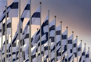 Unzählige Fahnenmasten mit der finnischen Nationalflagge.