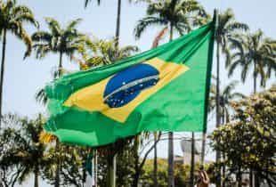 Die Nationalflagge Brasiliens vor mehreren Palmen.