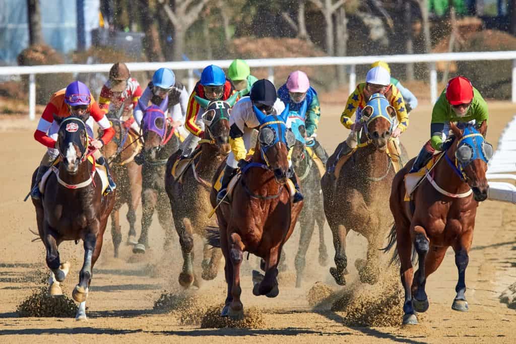 Jockeys mit Pferden während eines Pferderennens.