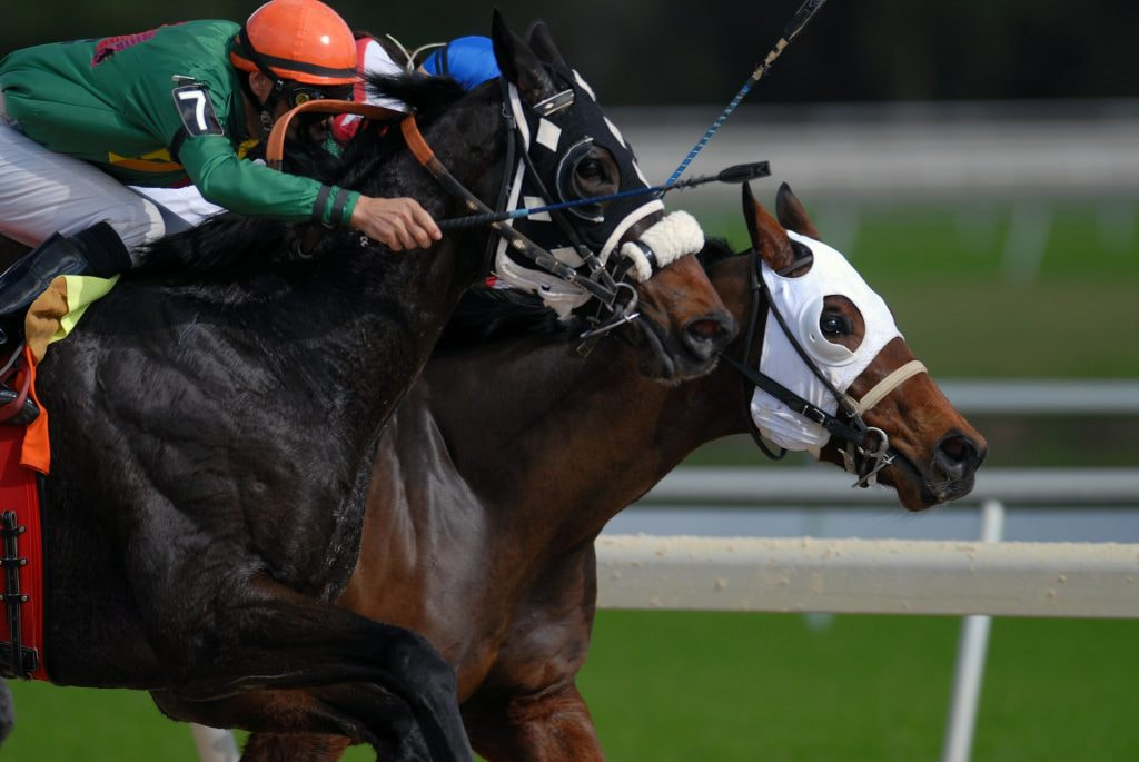 Zwei Pferde mit Jockeys Kopf an Kopf während eines Rennens.
